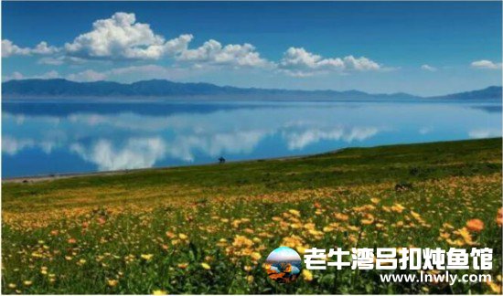旅游交易陷阱