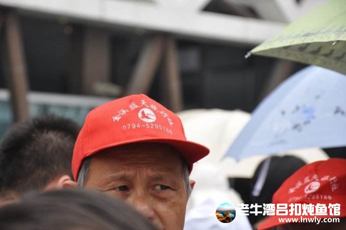 被盗上海旅游团已补旅行证