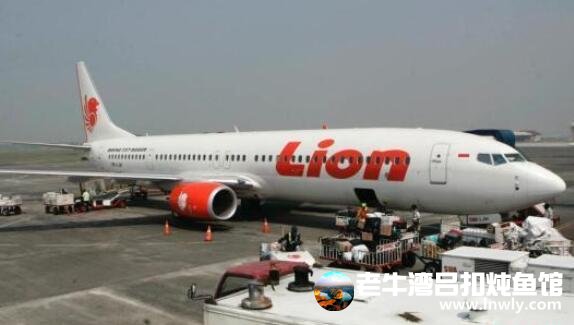 印尼民航局：11月上半月发布狮航空难最终报告