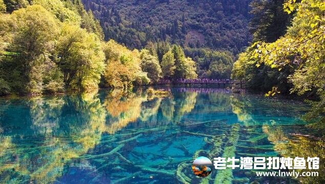 九寨沟景区9月27日开园 景区门票价格公布